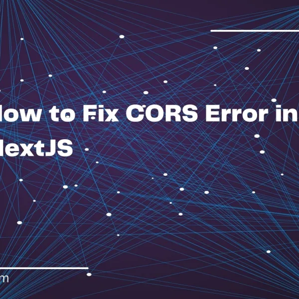 How to Fix CORS Error in NextJS